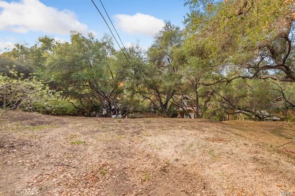 Elzevir Rd & Morro Dr Road Woodland Hills, CA 91364