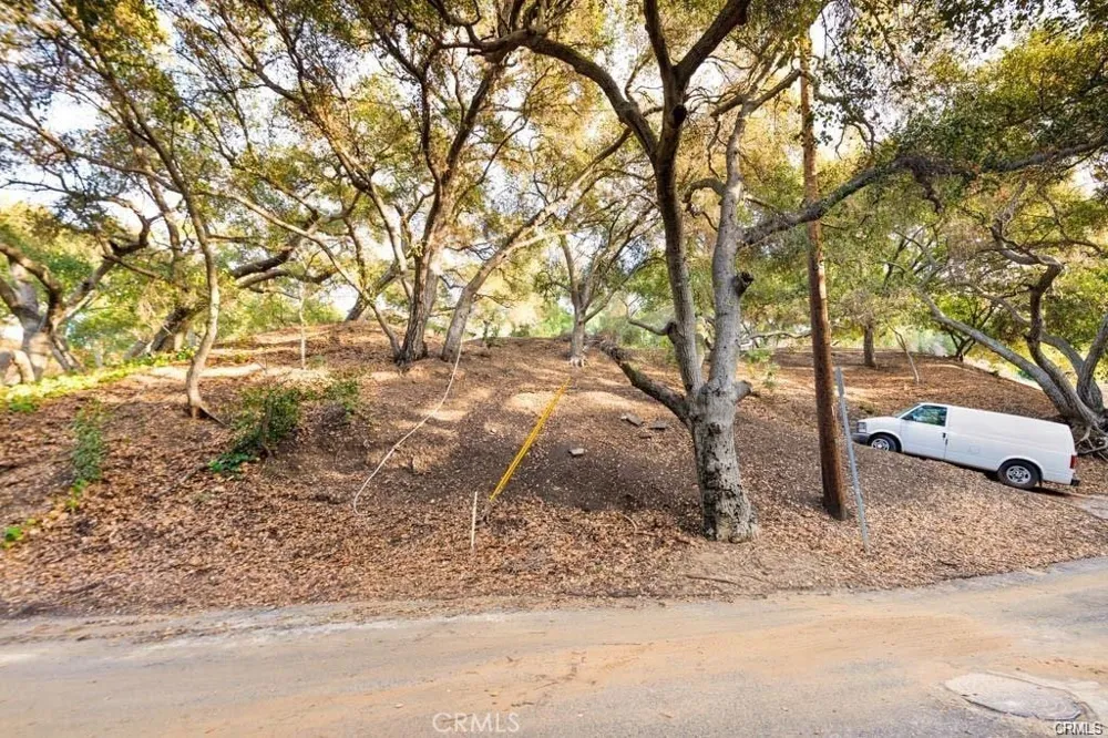 Elzevir Rd & Morro Dr Road Woodland Hills, CA 91364