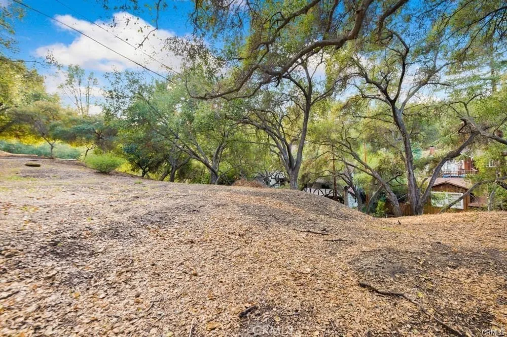 Elzevir Rd & Morro Dr Road Woodland Hills, CA 91364
