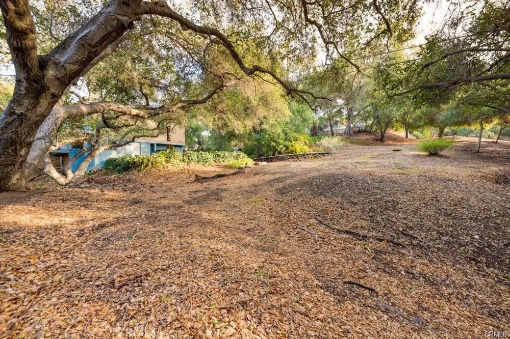 Elzevir Rd & Morro Dr Road Woodland Hills, CA 91364