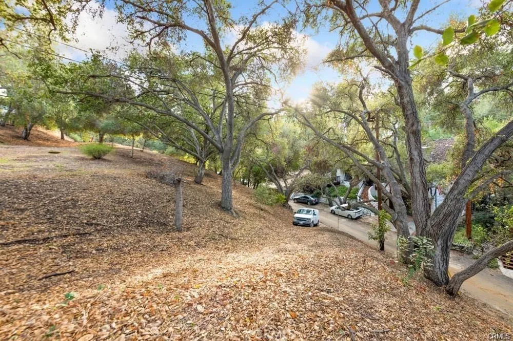 Elzevir Rd & Morro Dr Road Woodland Hills, CA 91364