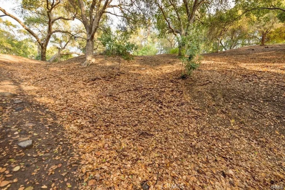 Elzevir Rd & Morro Dr Road Woodland Hills, CA 91364