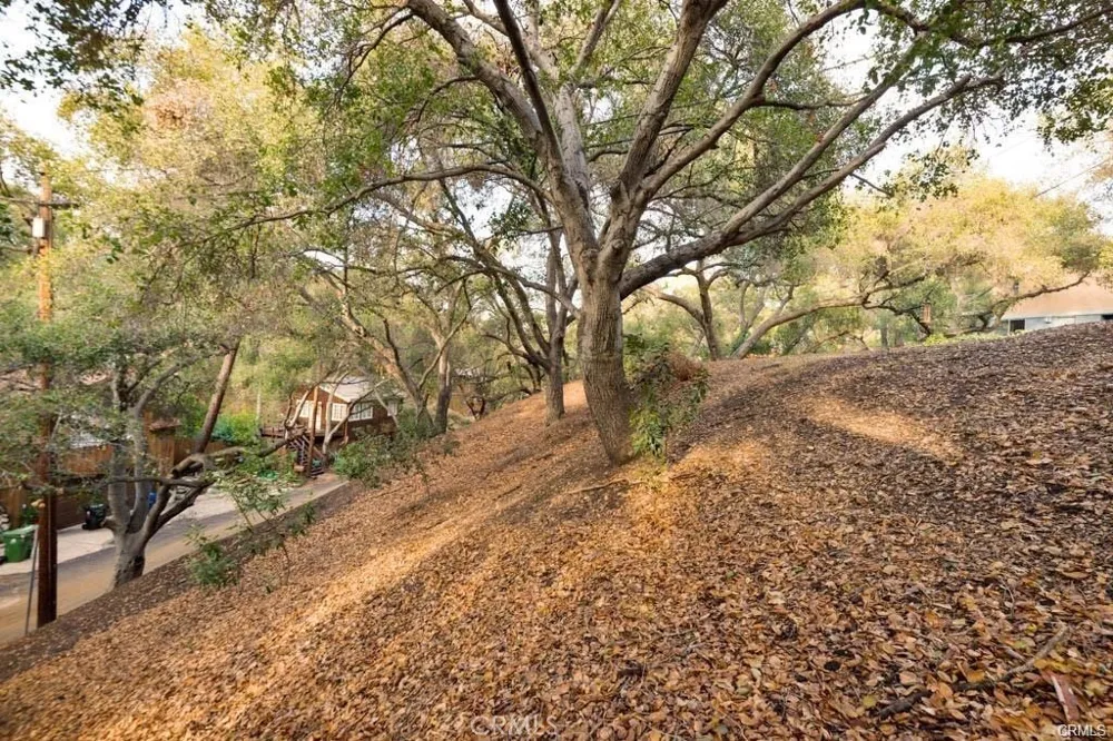 Elzevir Rd & Morro Dr Road Woodland Hills, CA 91364