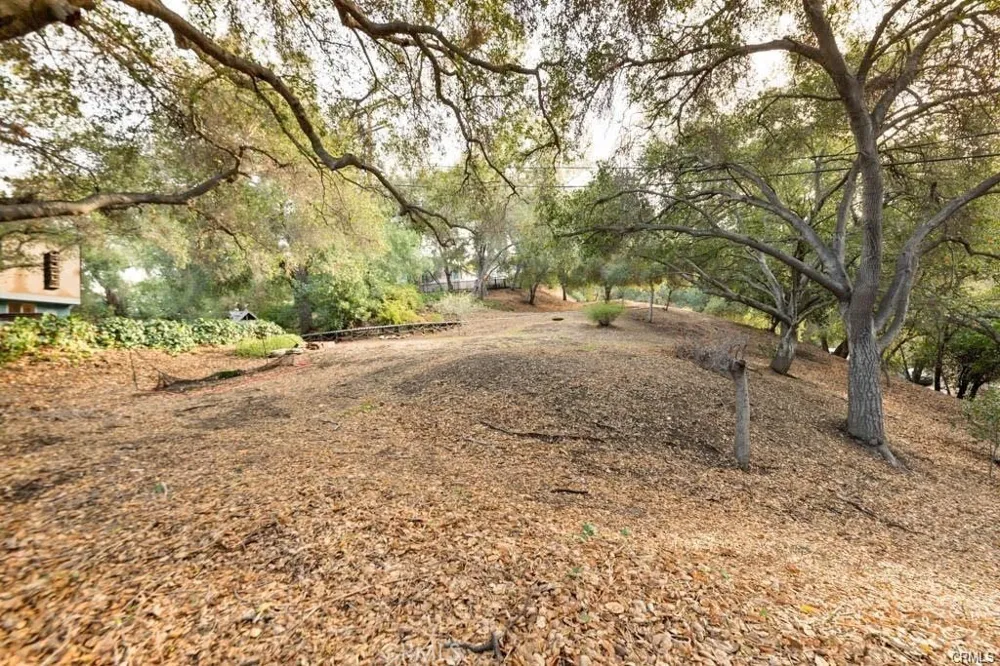 Elzevir Rd & Morro Dr Road Woodland Hills, CA 91364