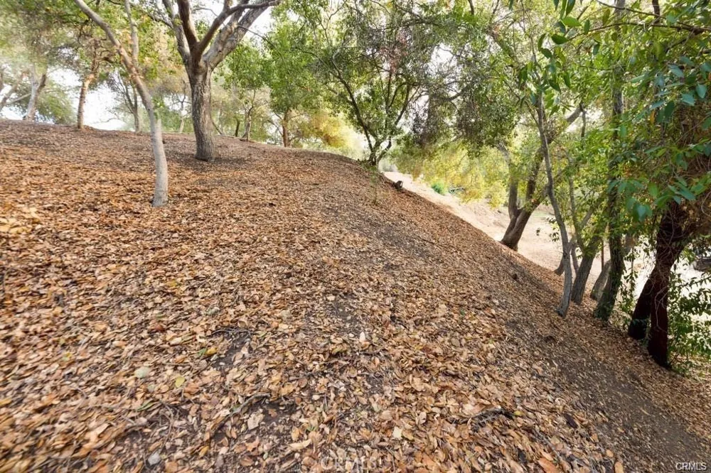 Elzevir Rd & Morro Dr Road Woodland Hills, CA 91364