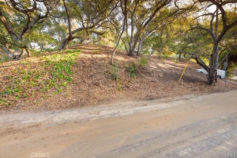 Elzevir Rd & Morro Dr Road Woodland Hills, CA 91364