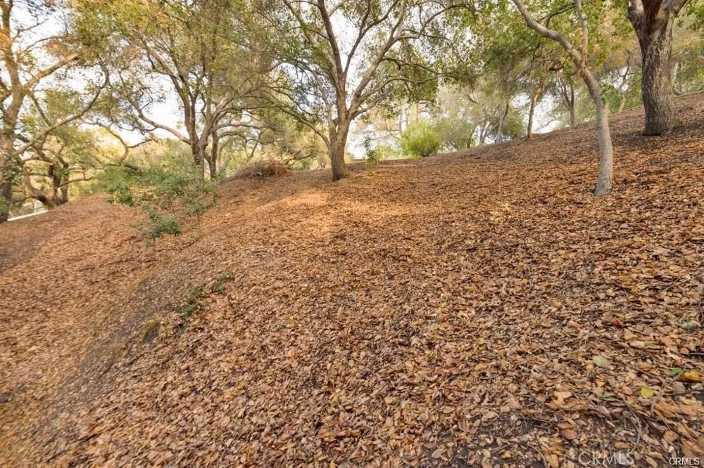 Elzevir Rd & Morro Dr Road Woodland Hills, CA 91364