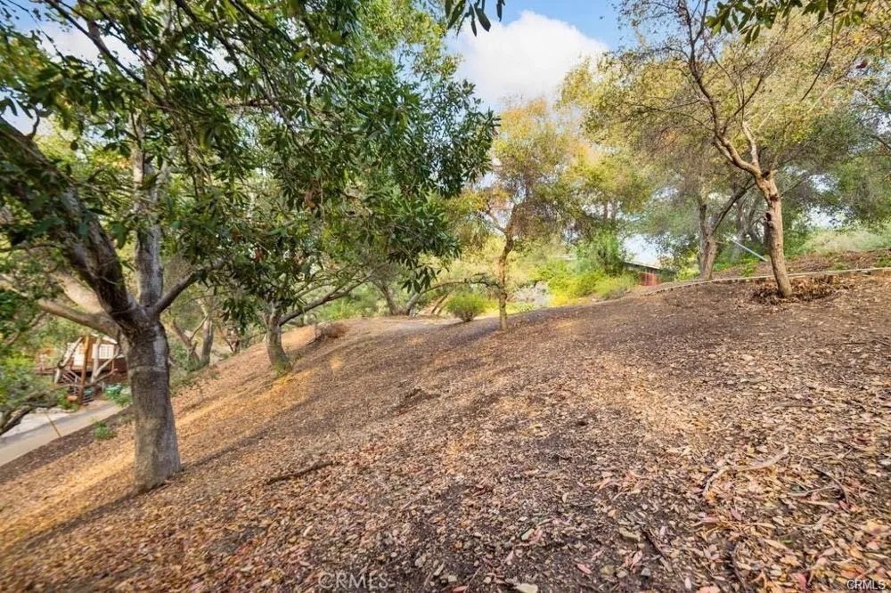 Elzevir Rd & Morro Dr Road Woodland Hills, CA 91364
