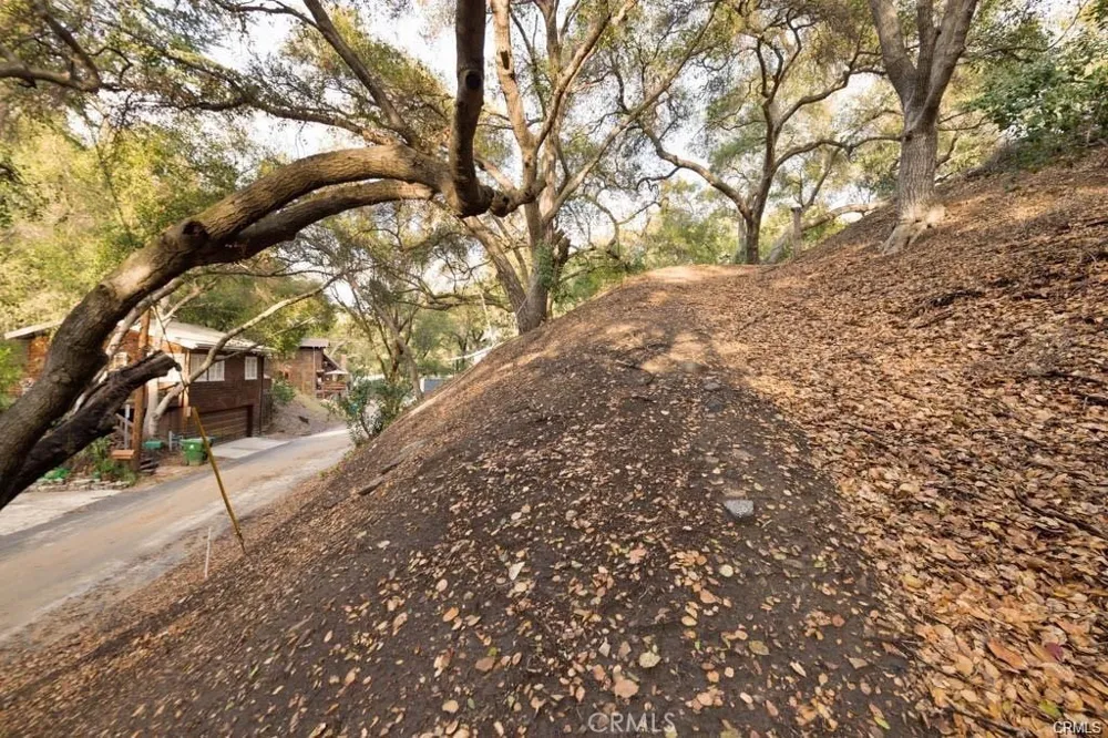 Elzevir Rd & Morro Dr Road Woodland Hills, CA 91364