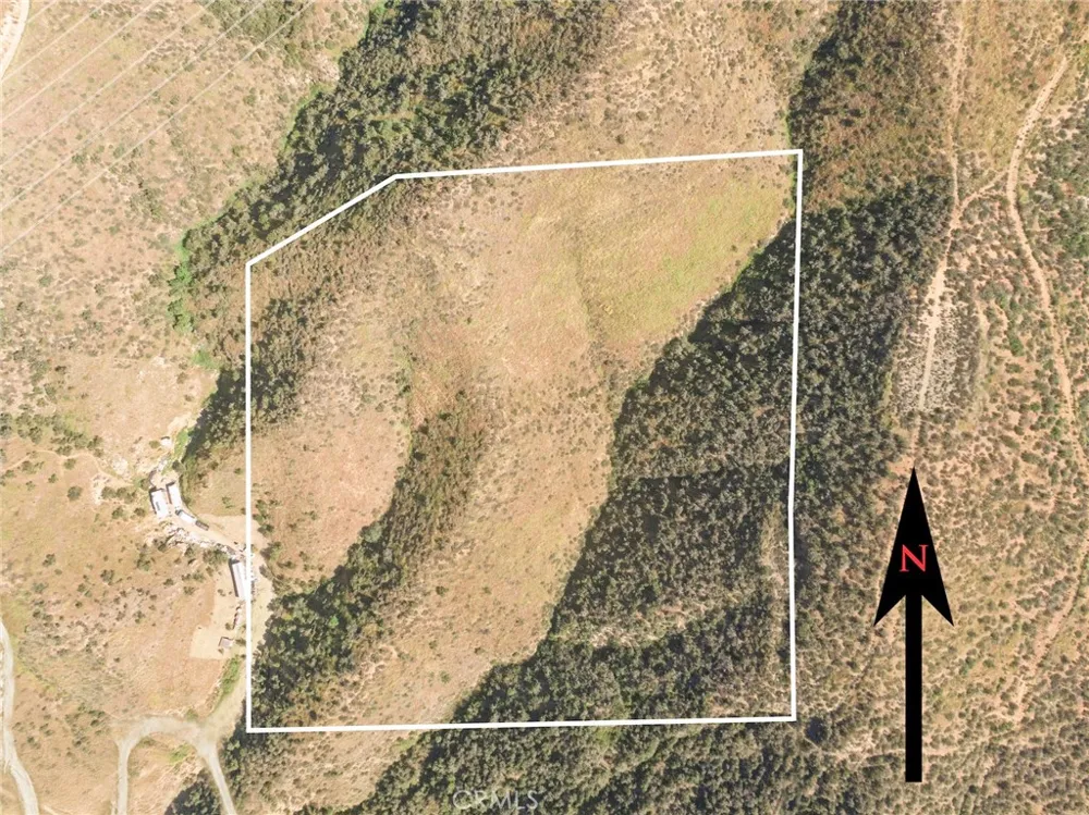 Vic Teller/Wild Country Agua Dulce, CA 91350