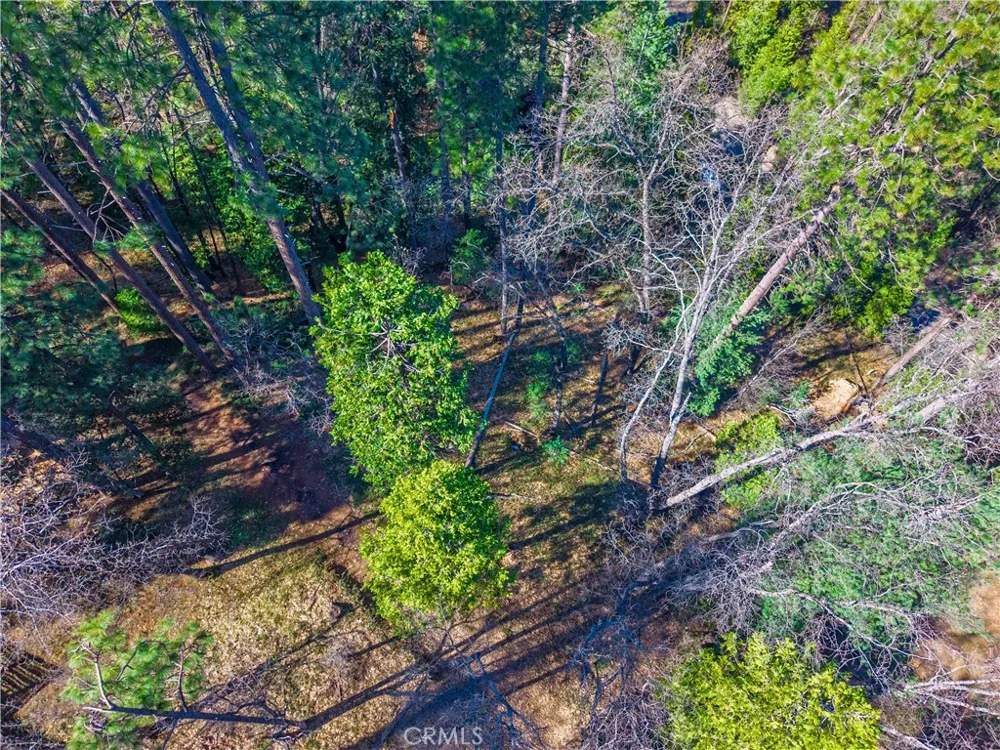 284 Canyon View Drive Arnold, CA 95233