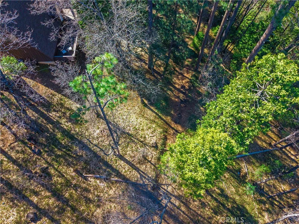 284 Canyon View Drive Arnold, CA 95233