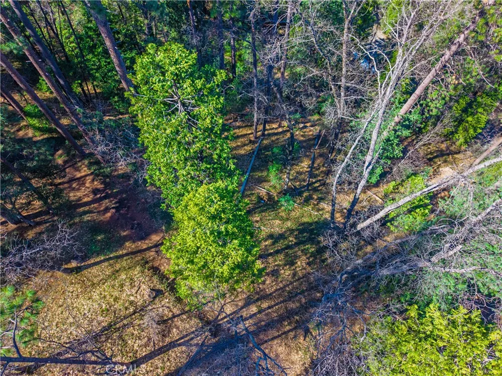 284 Canyon View Drive Arnold, CA 95233