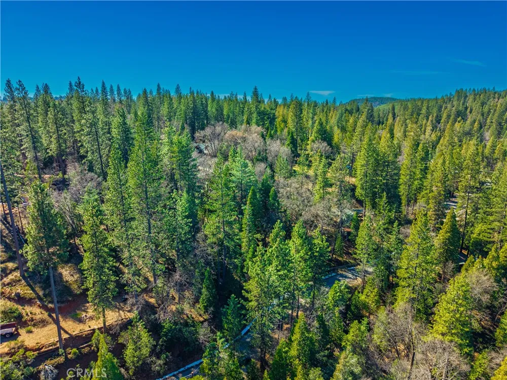 284 Canyon View Drive Arnold, CA 95233
