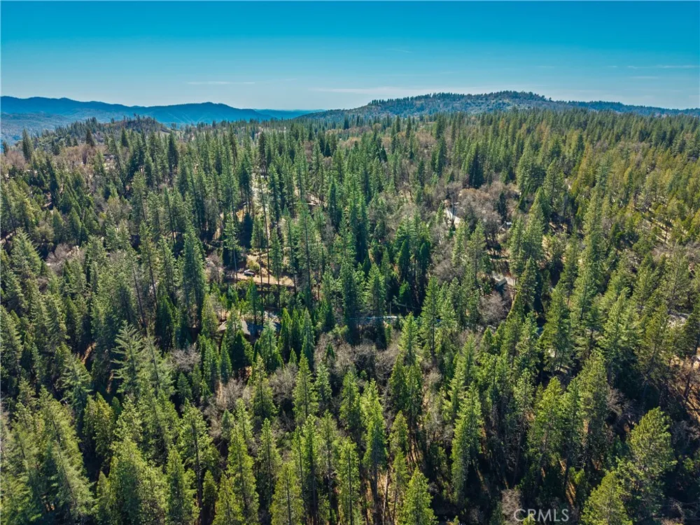 284 Canyon View Drive Arnold, CA 95233