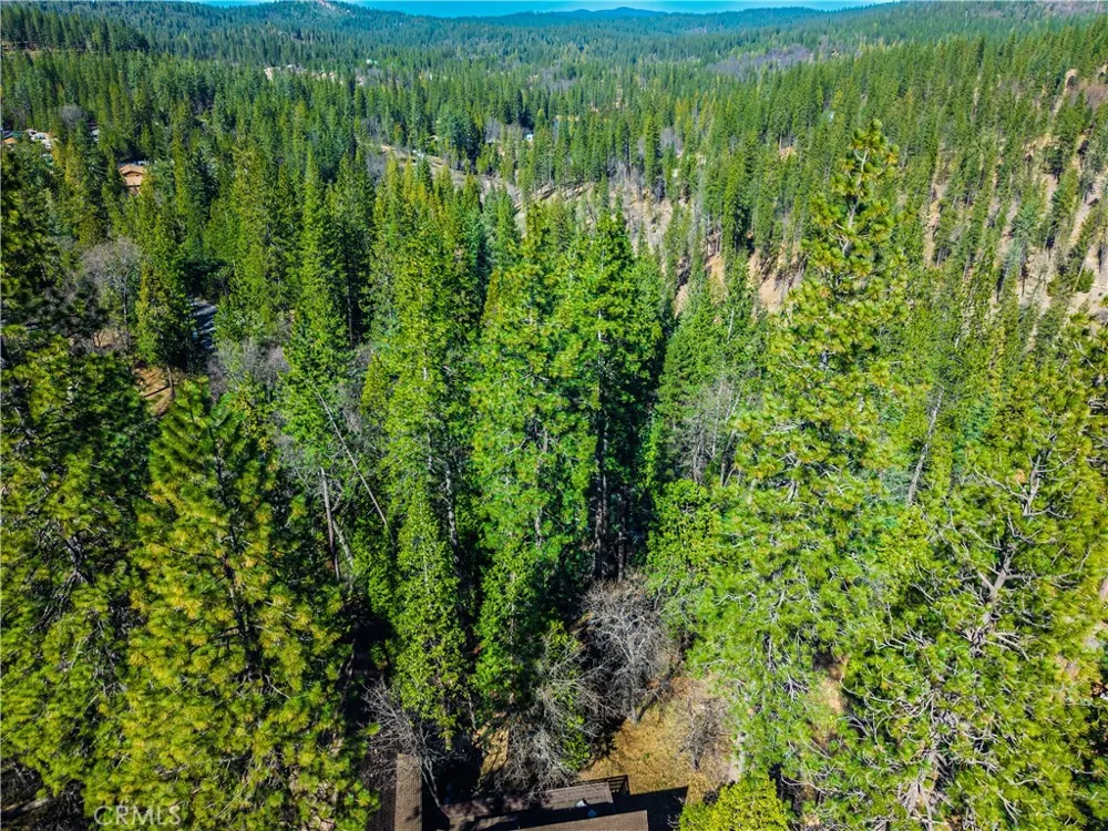 284 Canyon View Drive Arnold, CA 95233