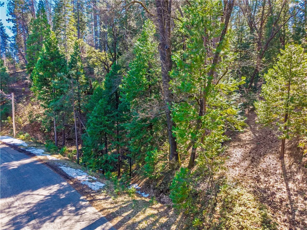 284 Canyon View Drive Arnold, CA 95233