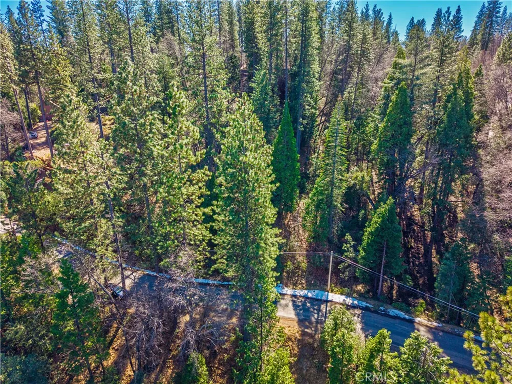 284 Canyon View Drive Arnold, CA 95233