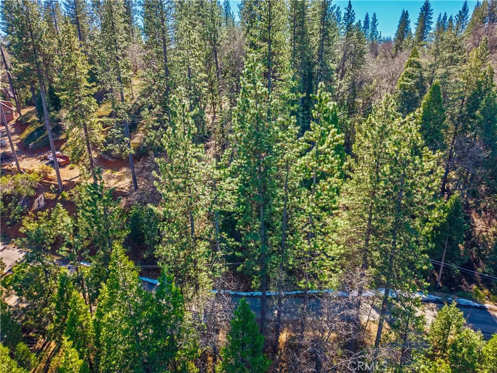 284 Canyon View Drive Arnold, CA 95233