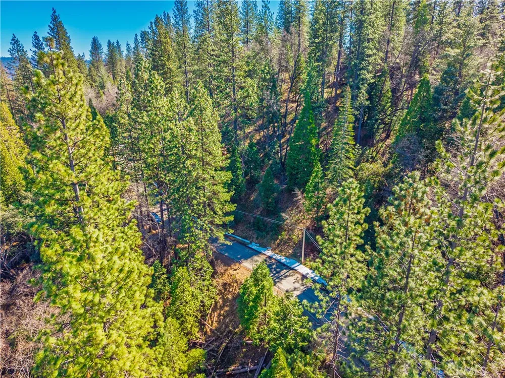 284 Canyon View Drive Arnold, CA 95233