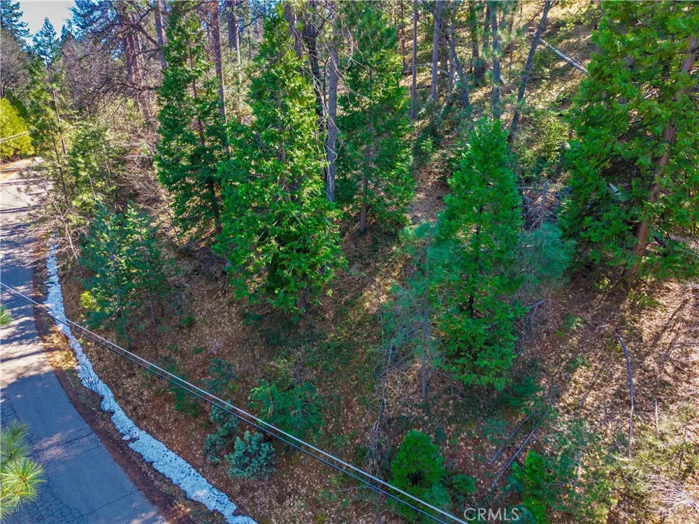 284 Canyon View Drive Arnold, CA 95233
