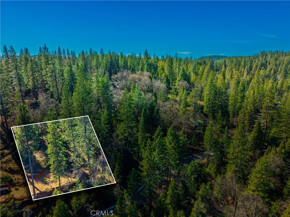 284 Canyon View Drive Arnold, CA 95233