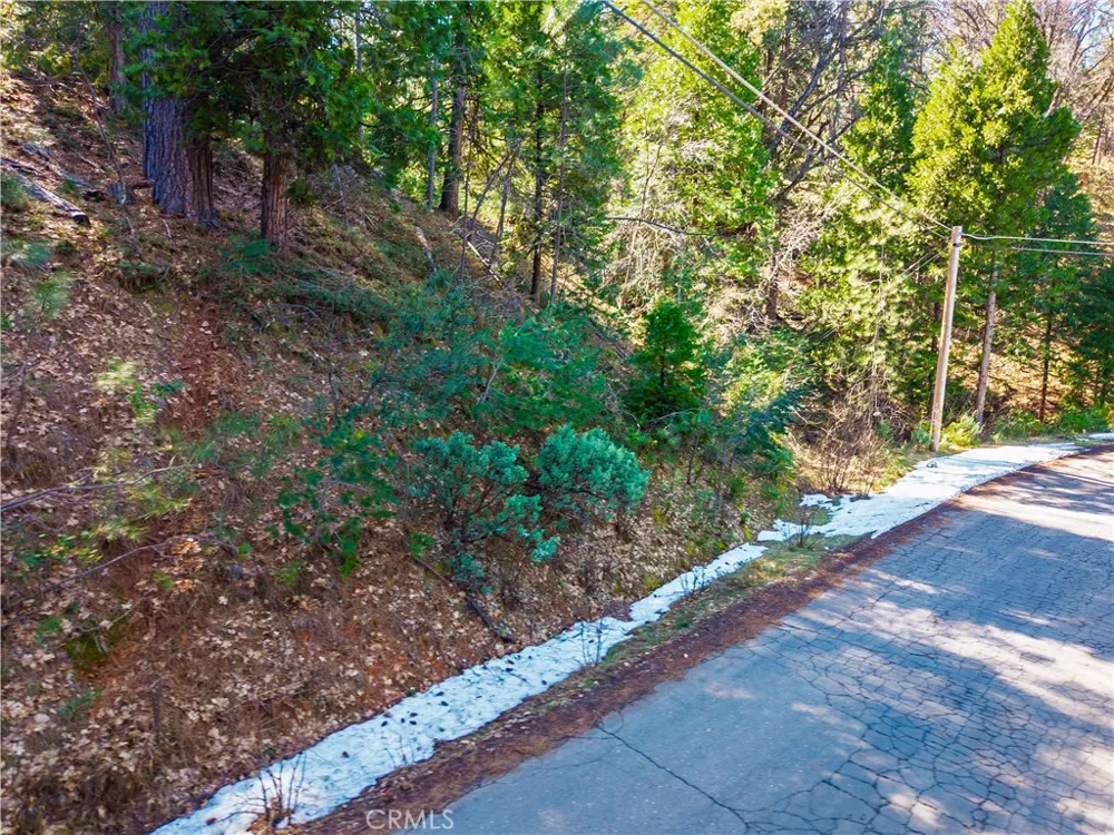 284 Canyon View Drive Arnold, CA 95233