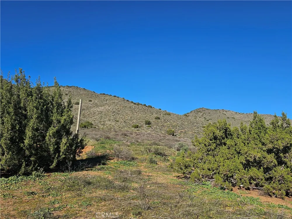 Escondido Canyon Agua Dulce, CA 91350