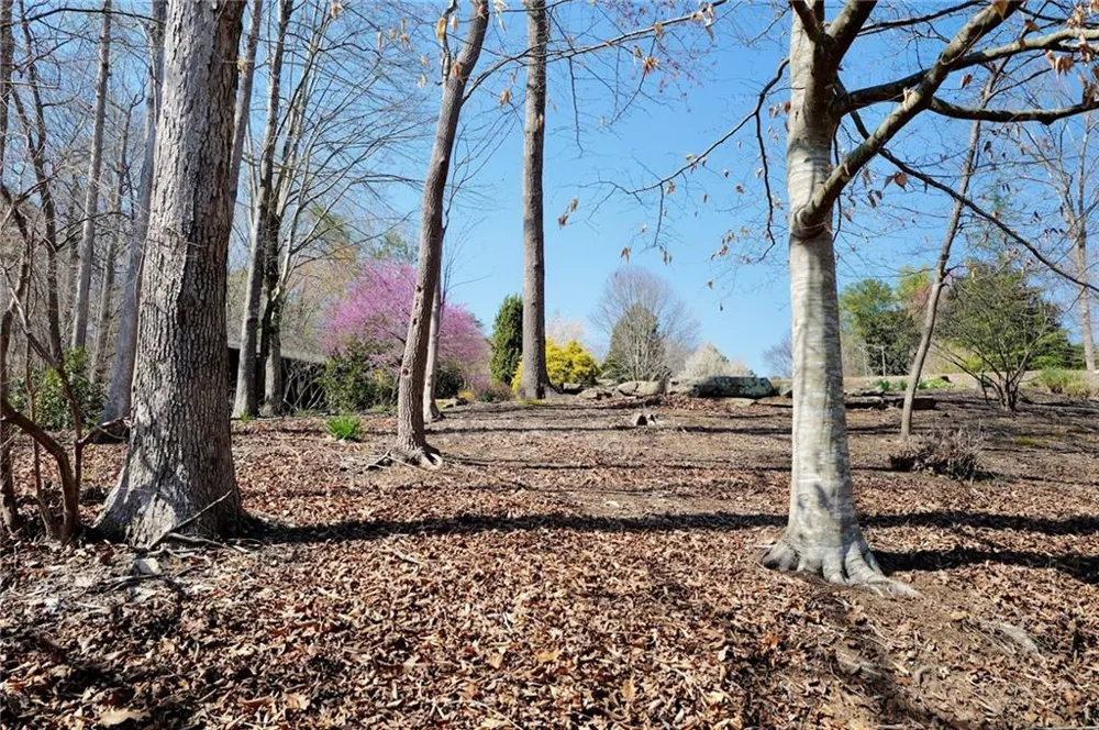 460 Prado Terrace Roswell, GA 30075