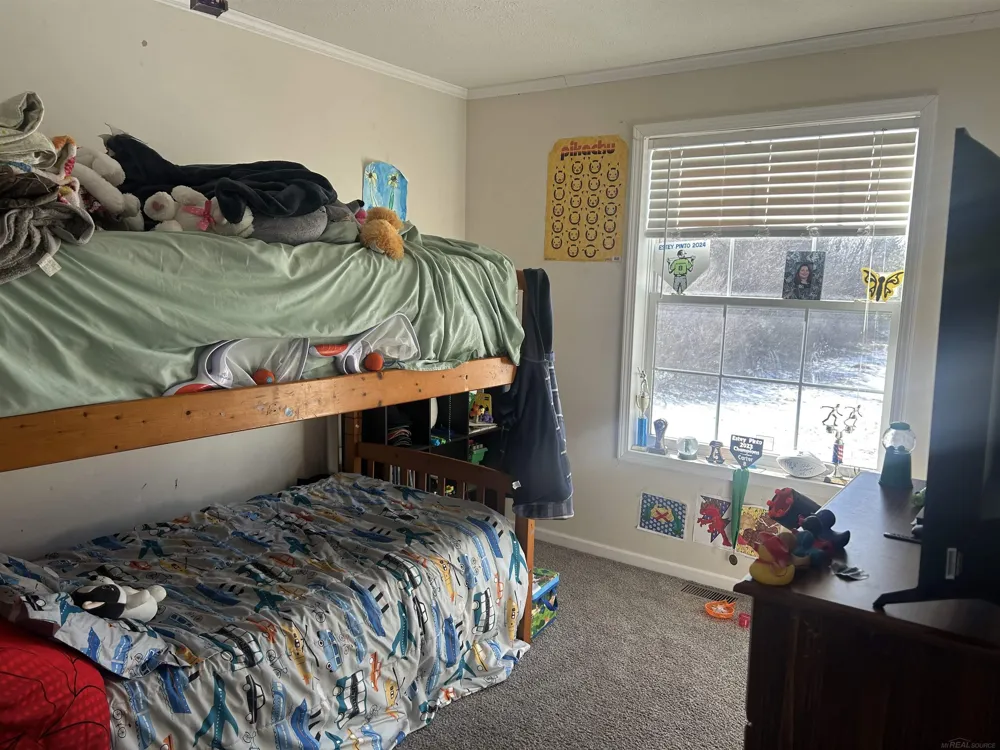 1712 Mt. Forest Road Mt Forest Township, MI 48650