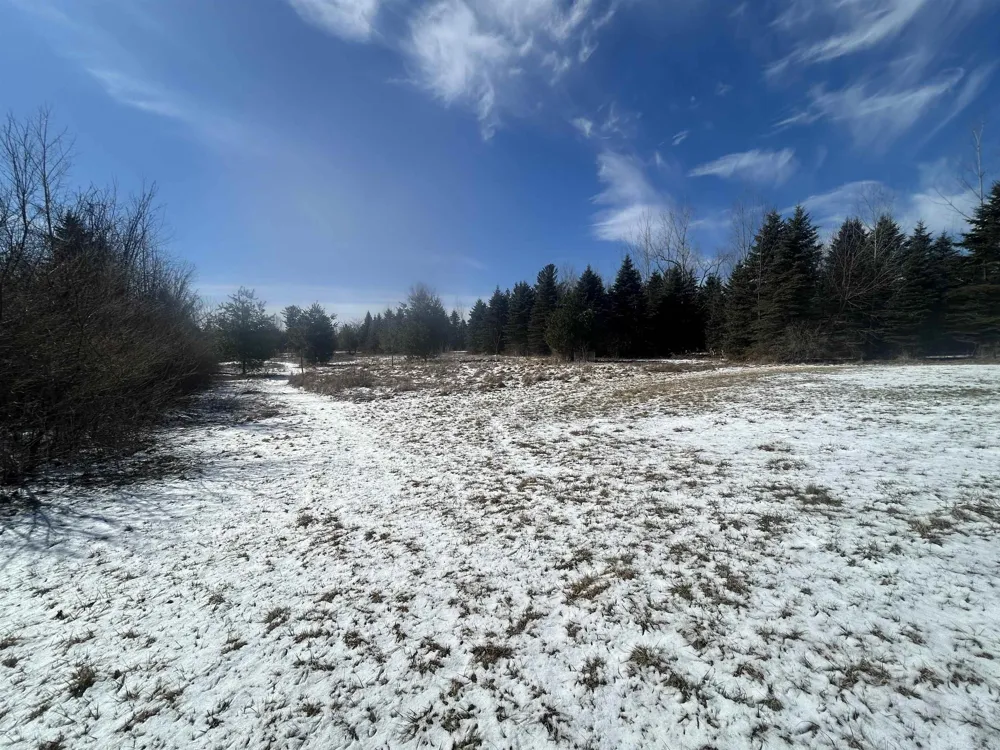 1712 Mt. Forest Road Mt Forest Township, MI 48650