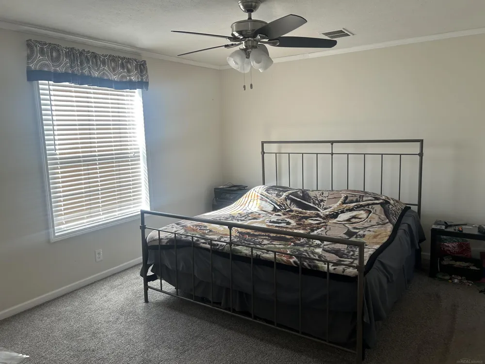 1712 Mt. Forest Road Mt Forest Township, MI 48650