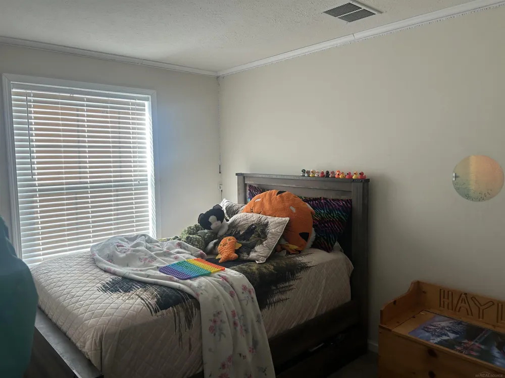 1712 Mt. Forest Road Mt Forest Township, MI 48650