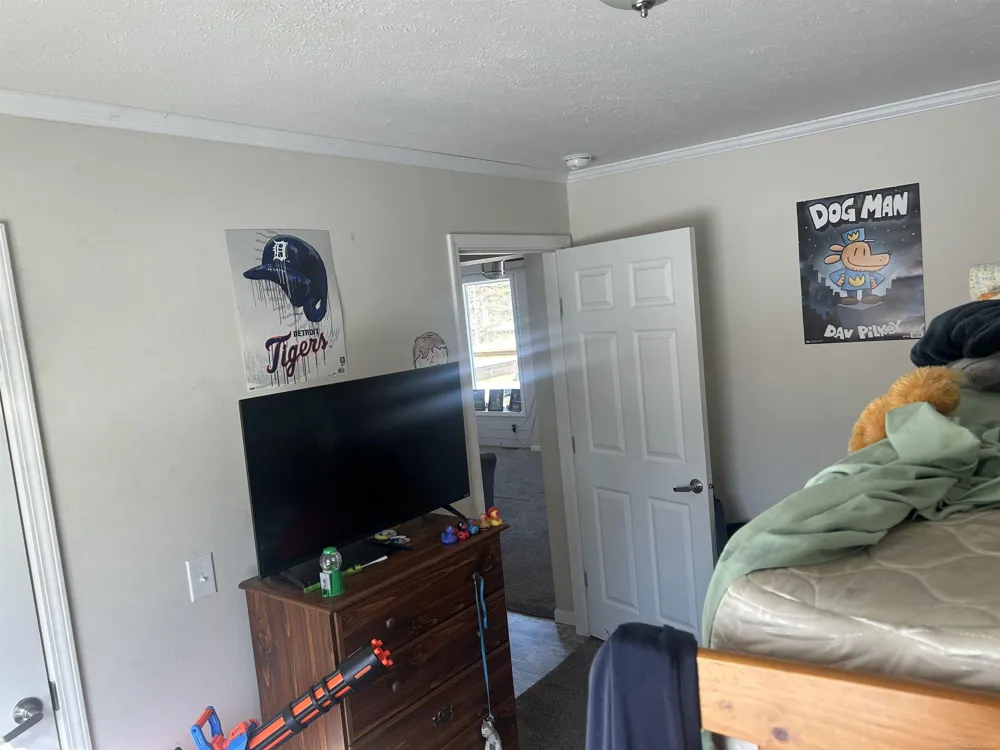 1712 Mt. Forest Road Mt Forest Township, MI 48650