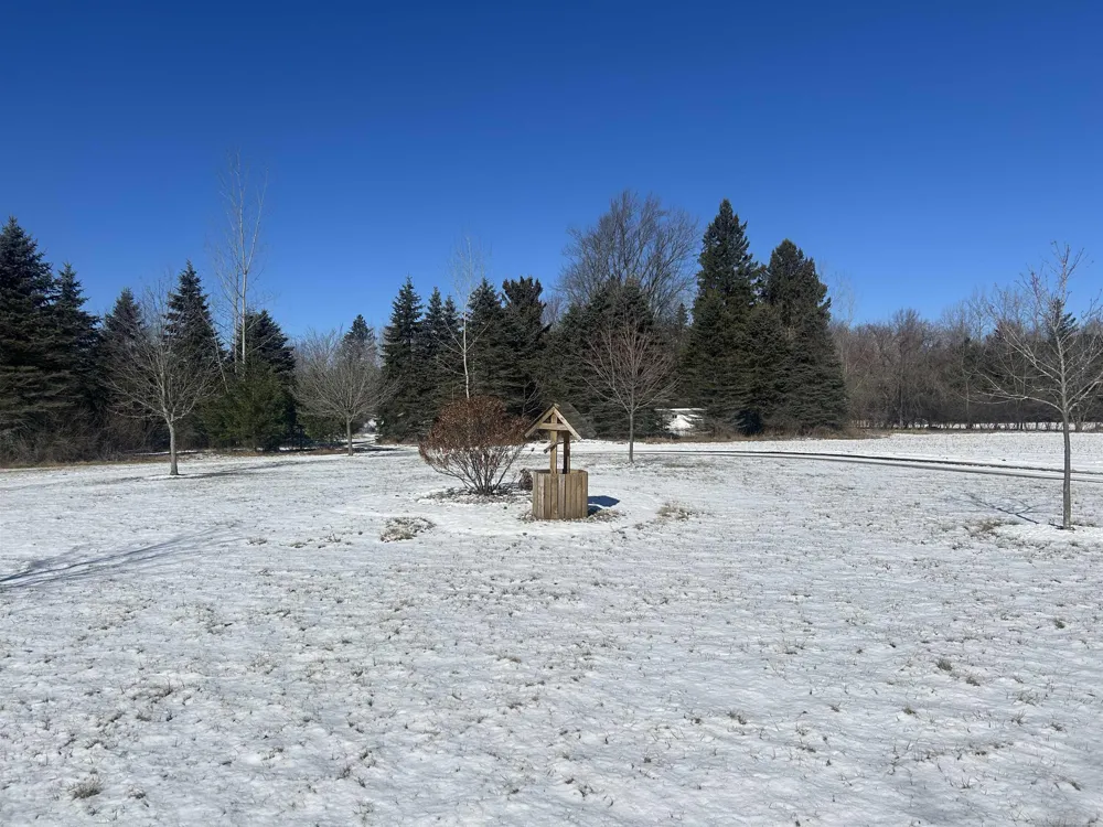 1712 Mt. Forest Road Mt Forest Township, MI 48650