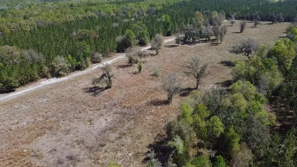 000 SW LANGELIER Fort White, FL 32038
