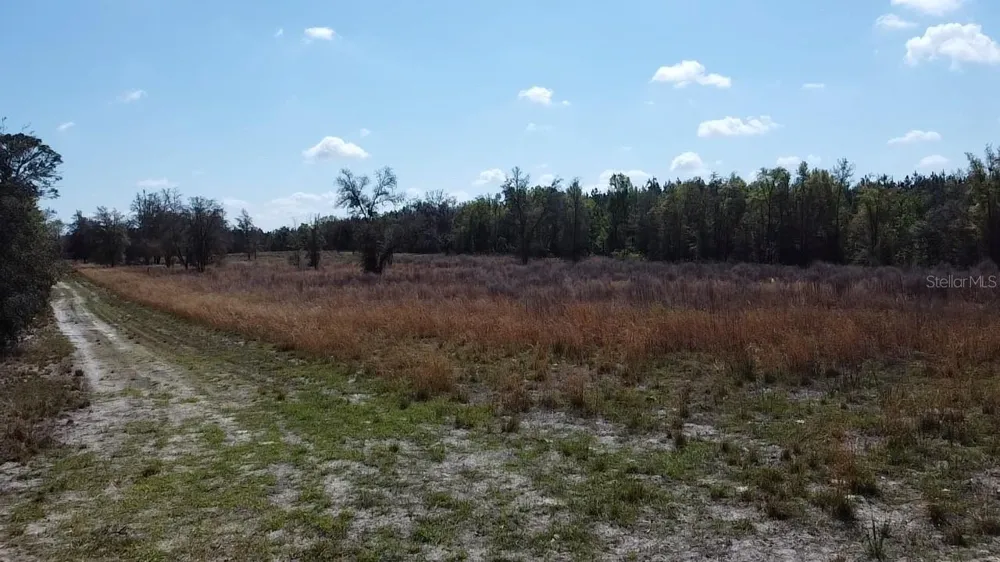 000 SW LANGELIER Fort White, FL 32038