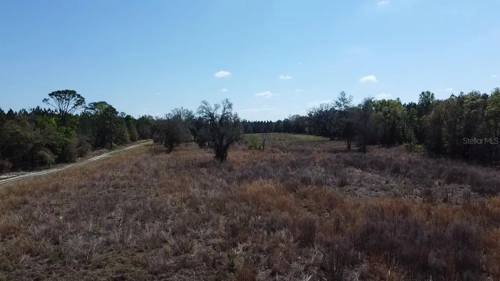 000 SW LANGELIER Fort White, FL 32038
