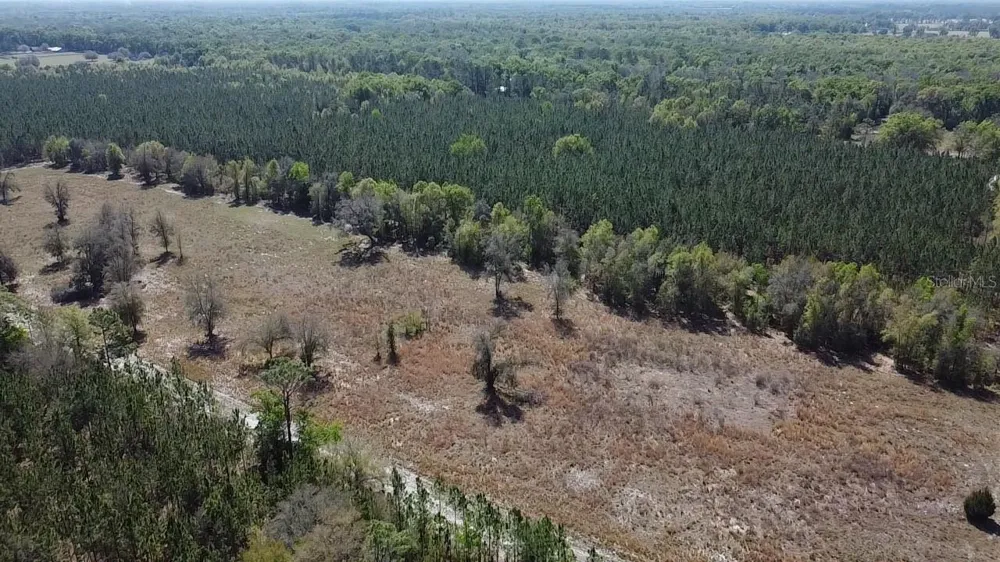 000 SW LANGELIER Fort White, FL 32038
