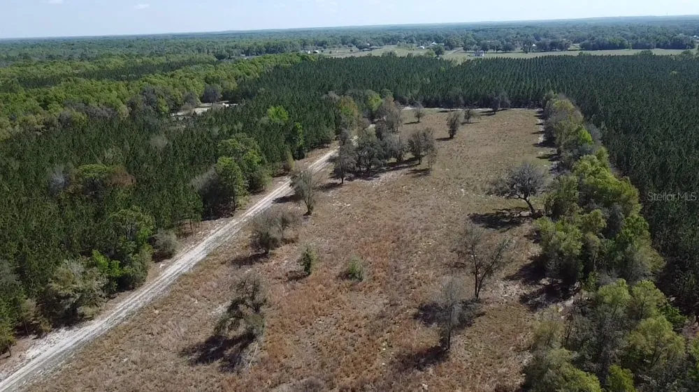 000 SW LANGELIER Fort White, FL 32038