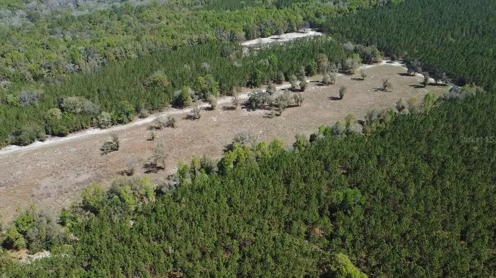000 SW LANGELIER Fort White, FL 32038