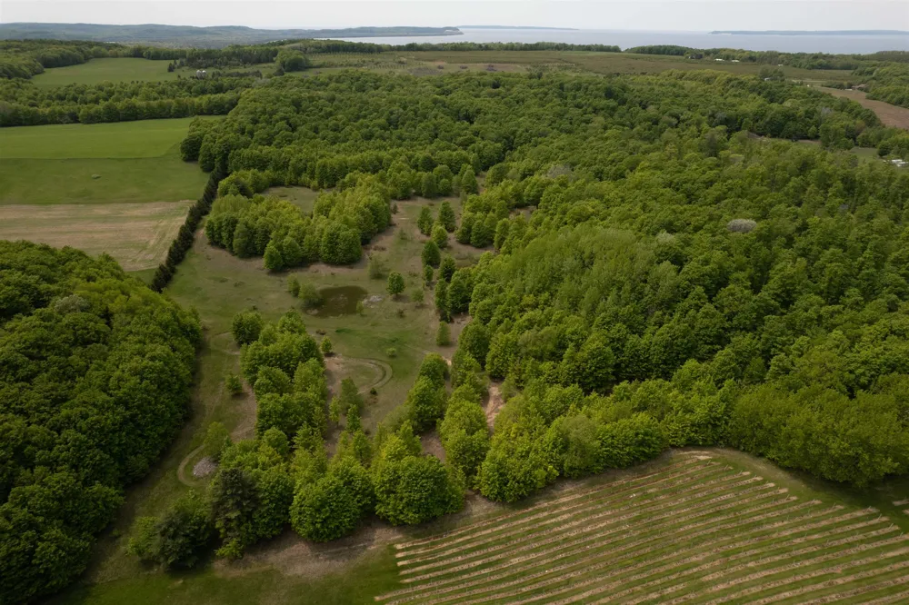 2481 S Schomberg Road Centerville Township, MI 49653