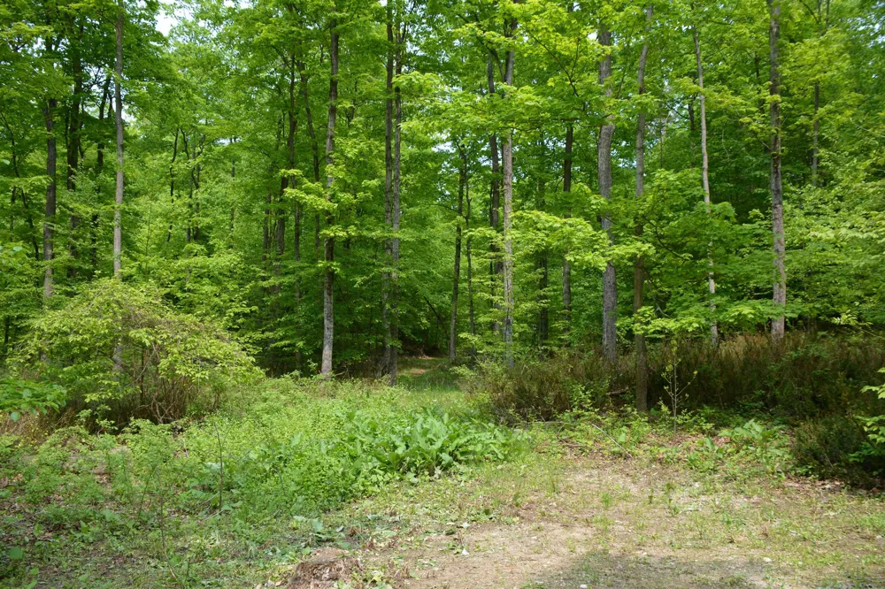 2481 S Schomberg Road Centerville Township, MI 49653