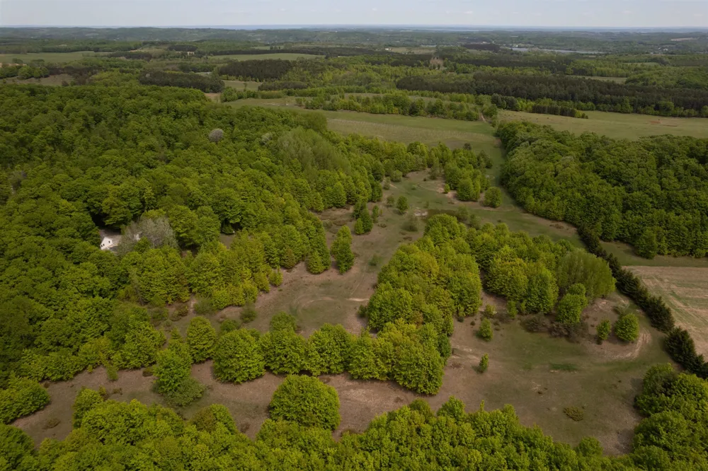 2481 S Schomberg Road Centerville Township, MI 49653