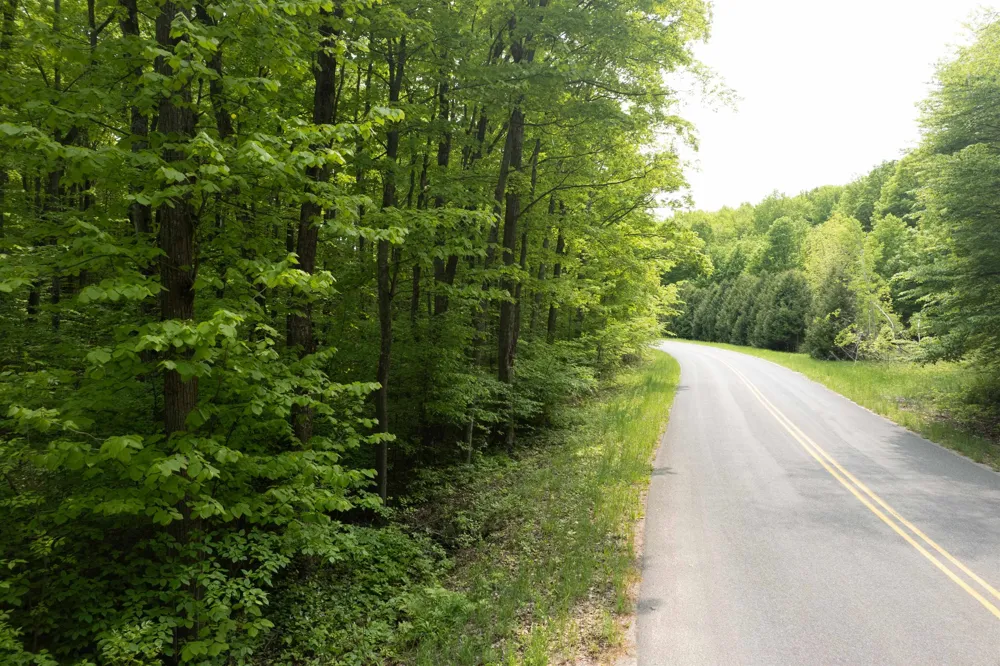 2481 S Schomberg Road Centerville Township, MI 49653