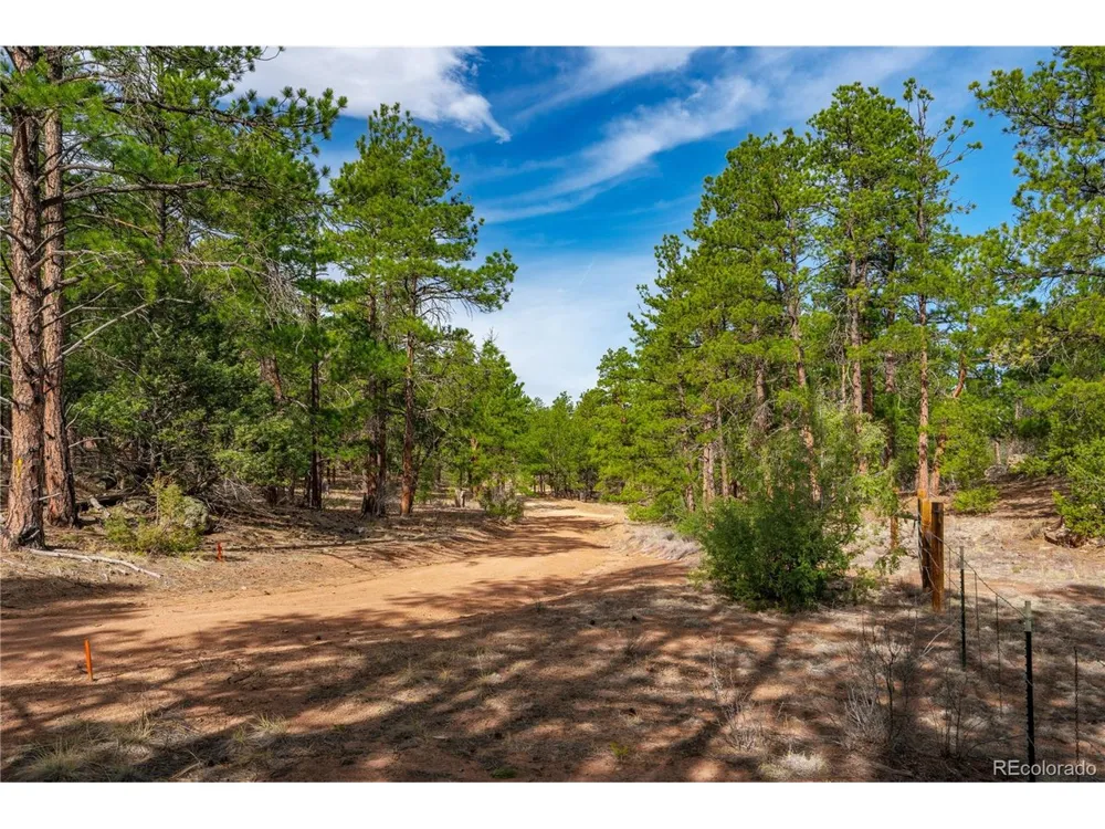 870 Oak Drive Westcliffe, CO 81252