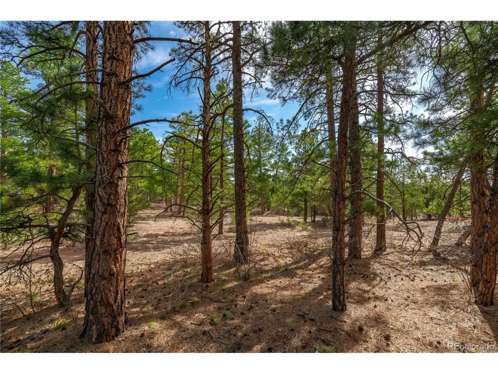 870 Oak Drive Westcliffe, CO 81252