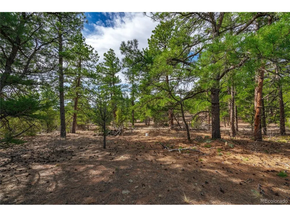 870 Oak Drive Westcliffe, CO 81252