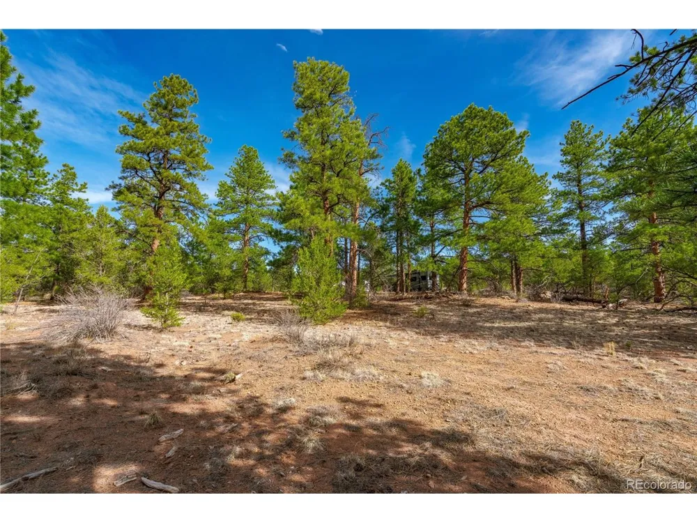 870 Oak Drive Westcliffe, CO 81252