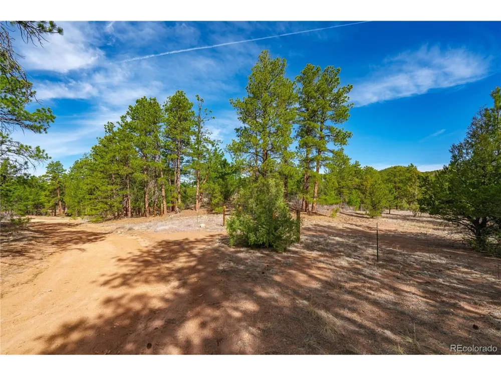 870 Oak Drive Westcliffe, CO 81252